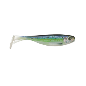 Live River Shad