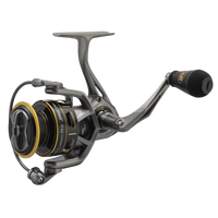 Lew's Custom Pro Speed Spin Spinning Reel