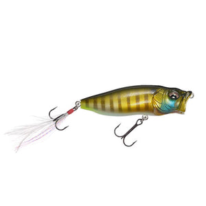 Topwater Lures