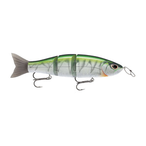 Arashi Swimmer Swimbait Oikawa Mesu / 7"