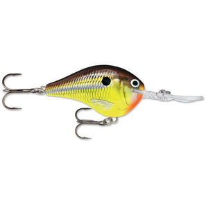 DT 10 Crankbait Hot Mustard / 2 1/4"