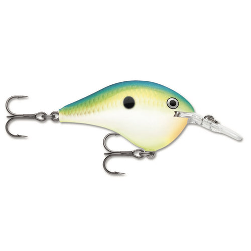 Rapala DT 6 Crankbait Citrus Shad / 2" Rapala DT 6 Crankbait Citrus Shad / 2"