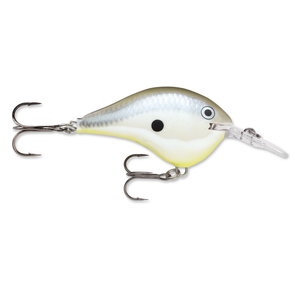 Disco Shad