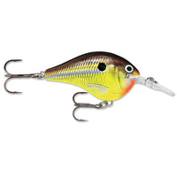 Rapala DT 6 Crankbait Hot Mustard / 2"