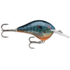 Rapala DT 6 Crankbait Live Pumpkinseed / 2"