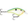 Citrus Shad