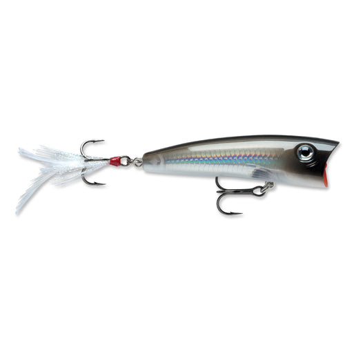 Rapala X-Rap Pop Topwater Pearl Grey Shiner / 2 3/4" Rapala X-Rap Pop Topwater Pearl Grey Shiner / 2 3/4"