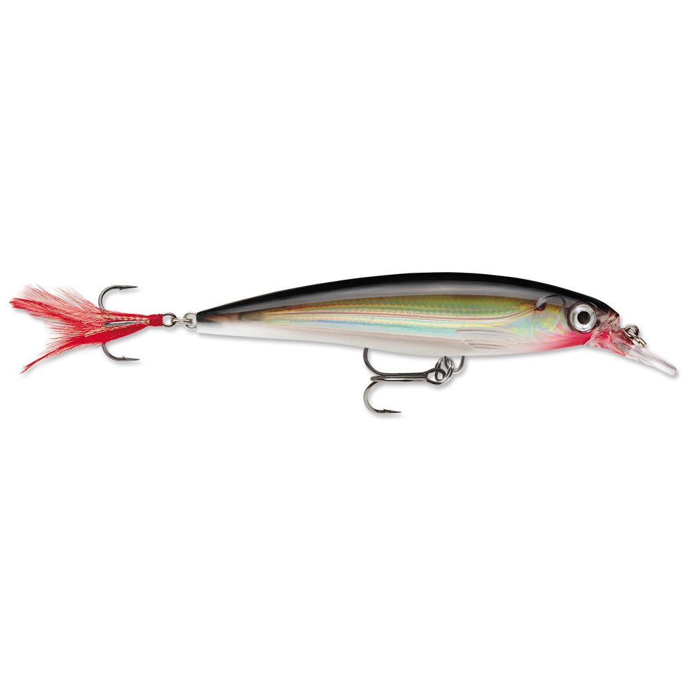 Rapala X-Rap Jerkbait 4" / Silver