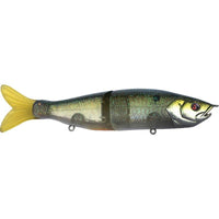 River2Sea S-Waver 168S Glide Bait I know It / 6 1/4"