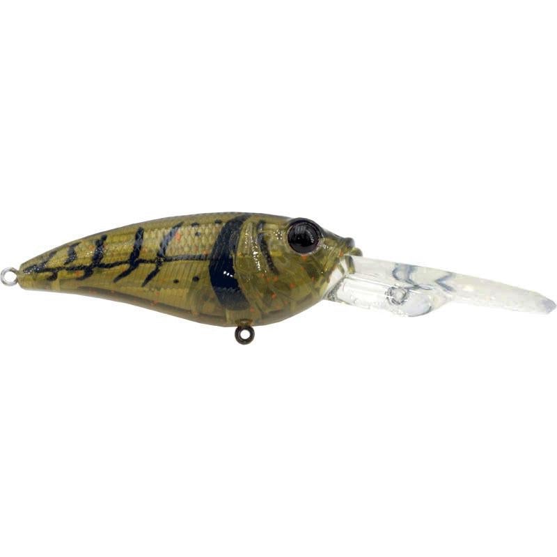  Daiwa Evergreen Crank Lure, 6', Olive Crawdad - CR-6-216 :  Sports & Outdoors