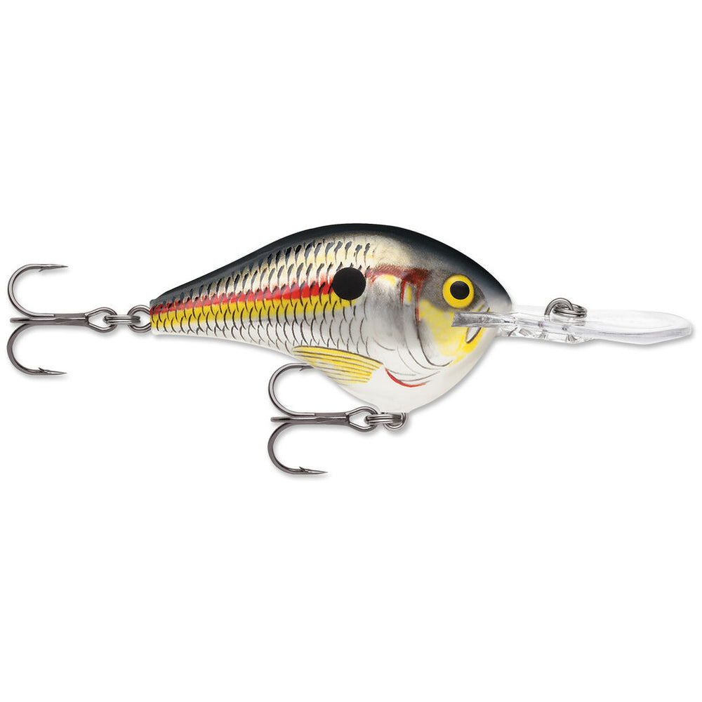 Rapala DT 8 Crankbait Shad / 2"