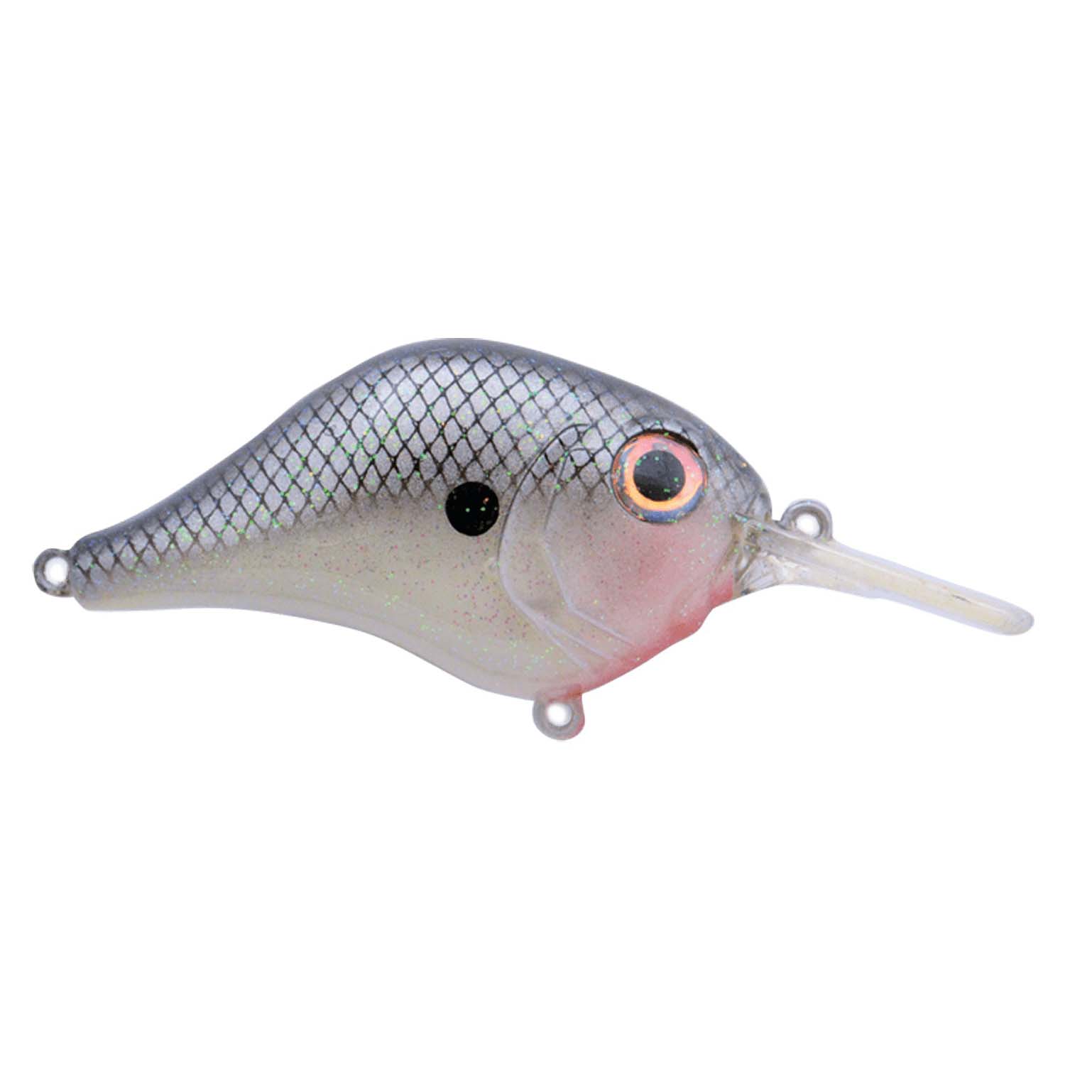 Bill Lewis Mr-6 Crankbait Cell Mate – Hammonds Fishing