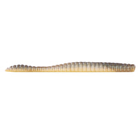 Big Bite Baits Scentsation SoMolly Smelt / 3 3/5"