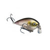 Clearwater Minnow