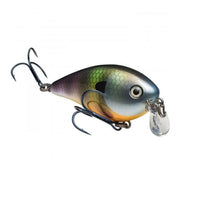 Strike King KVD 1.5 Shallow Squarebill Crankbait Neon Bluegill / 2 1/4"