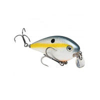 Strike King KVD 1.5 Shallow Squarebill Crankbait Sexy Shad / 2 1/4"