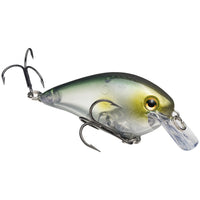 Strike King KVD 1.5 Squarebill Crankbait Clearwater Minnow / 2 1/4"