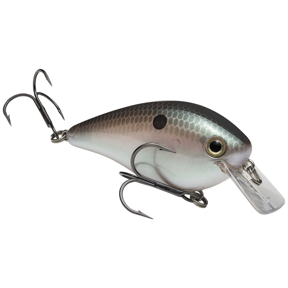 Strike King KVD 2.5 Squarebill Crankbait Green Gizzard Shad / 2 3/4"