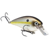 Summer Sexy Shad