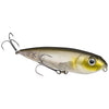 Clearwater Minnow