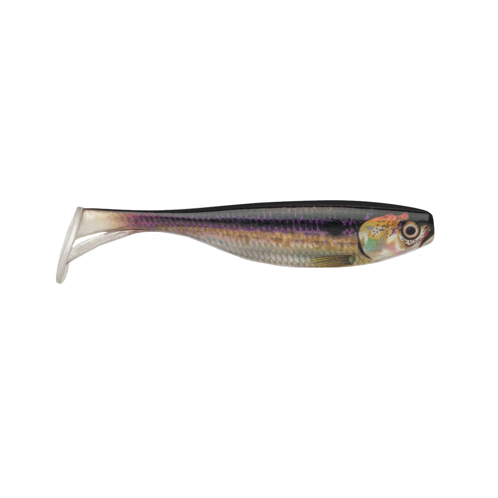 Storm Largo Shad 3 1/2" / Live Threadfin Shad