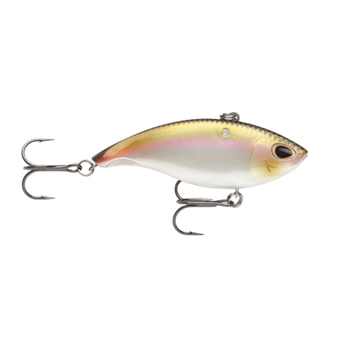 STORM ARASHI VIBE LIPLESS CRANKBAIT - Lefebvre's Source For Adventure