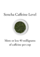 how much caffeine in sencha