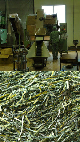 Maschine zum Rollen von grünen Teeblättern und Ergebnisse mit Blättern