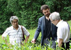 japanese tea farmers's plantation