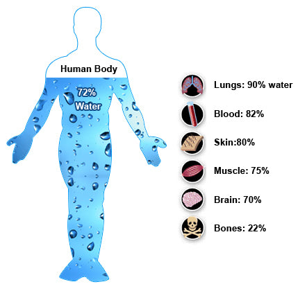 Human Body Composition of Water and why you need whole house water filter