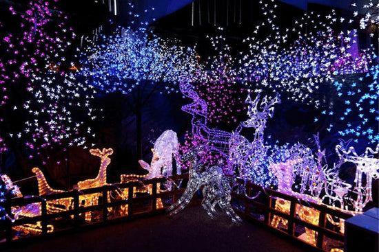 4 beste Weihnachtslichtfestivals in Korea - The Daebak Company