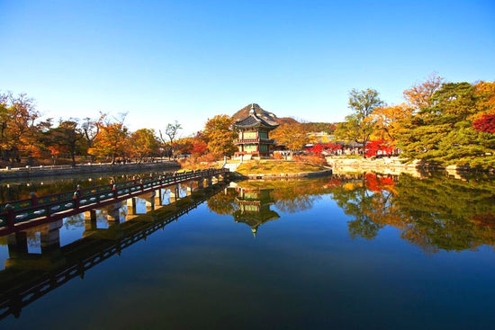 Die Saison der Saison perfekt für die koreanische Hautpflege Herbst perfekt