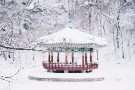 Ein Leitfaden zum Winter in Korea: Was zu erwarten und wie man sich vorbereitet - die Daebak -Firma