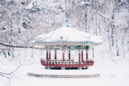 A Guide to Winter in Korea: What to Expect and How to Prepare - The Daebak Company