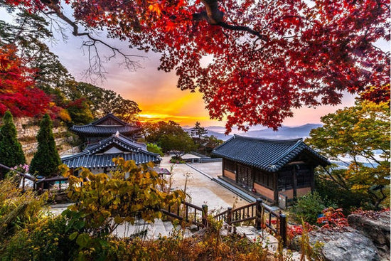 أربعة أسباب لزيارة كوريا الجنوبية في الخريف - شركة Daebak