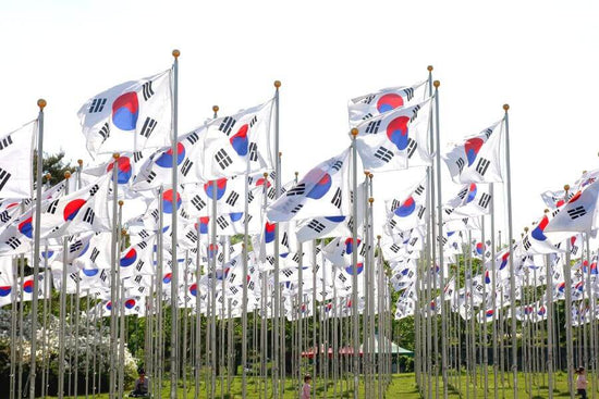 A field of Korean flags on tall flag poles on a sunny day. 