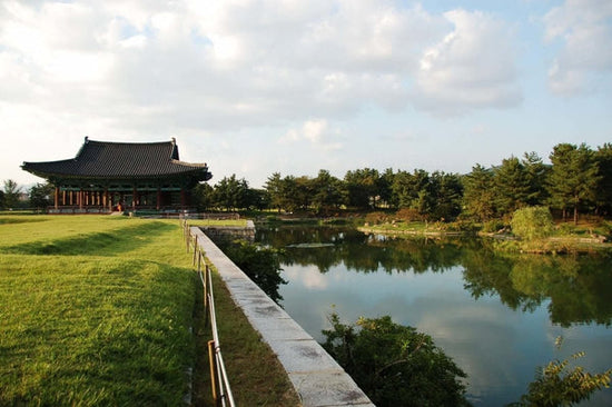 Prenant la vision panoramique des parcs nationaux de Corée | La société Daebak