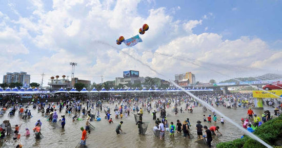 El Festival de Sweetfish Bonghwa - The Daebak Company