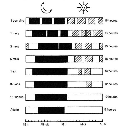 schéma du sommeil de bébé