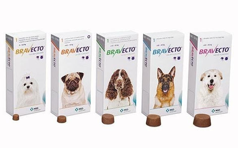 Image of Bravecto Dog Flea Treatment Chewable