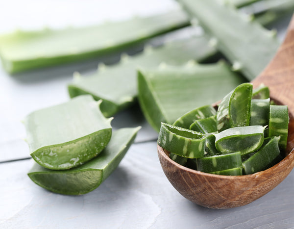 aloe vera stalks cut into pieces