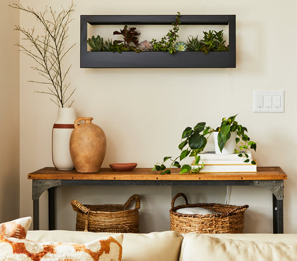 Modern Sprout Smart Landscape Growframe hung on a wall above a console table with plants and vases