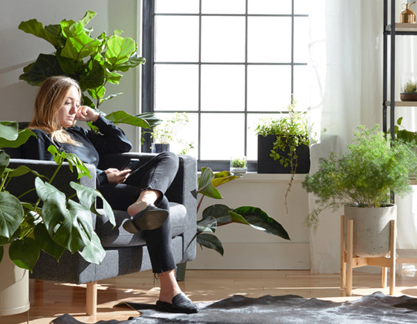Woman sitting on chair with smartphone next to large window and indoor plants