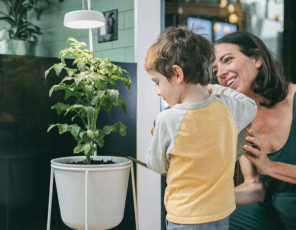 Mom and son watering an indoor plant in the Modern Sprout Uplift Planter in white