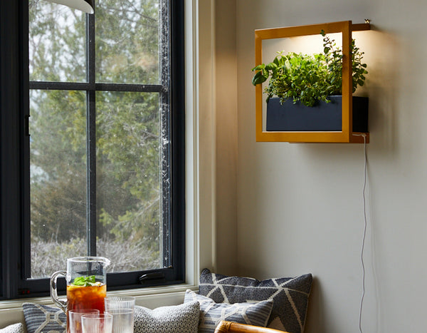 Modern Sprout Merigold Standard Smart Gold Frame hung on a wall next to large window in dining room