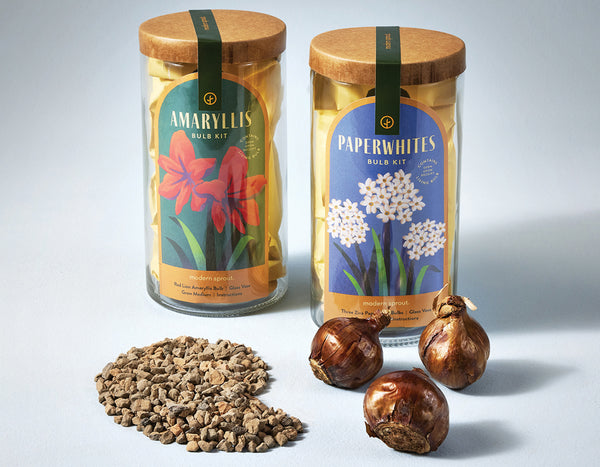 Winter bulb kit in packaging with components spread out