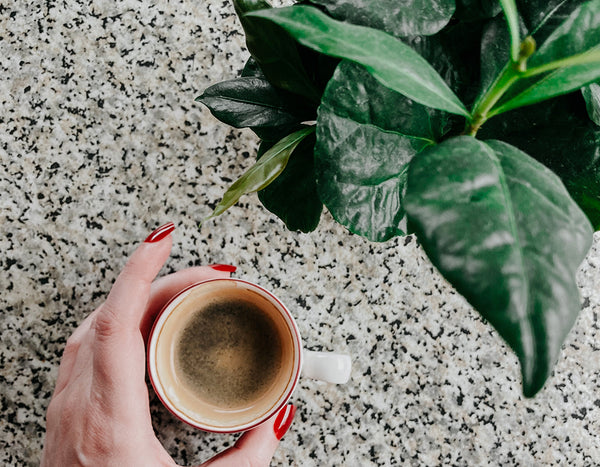 Cup of espresso next to a plant