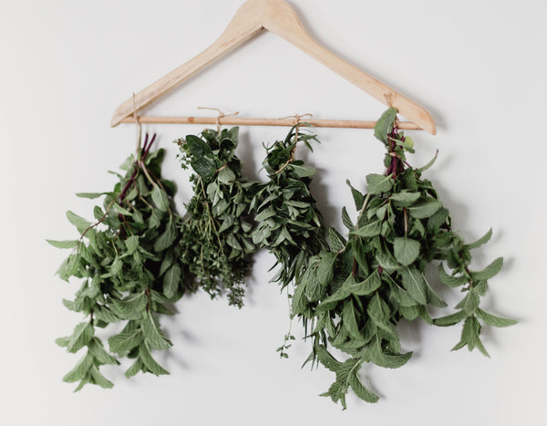 dried herbs on a hanger