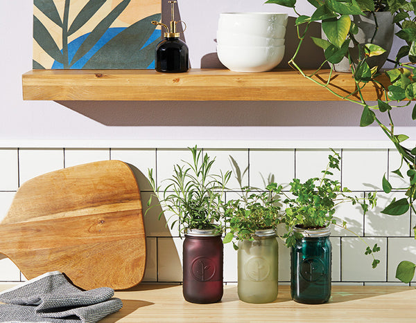 three herb mason jars on kitchen counter