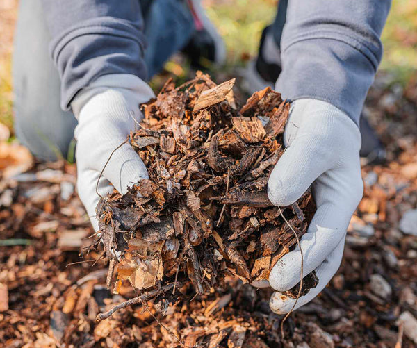 two hands with garden gloves laying down leaf mulch